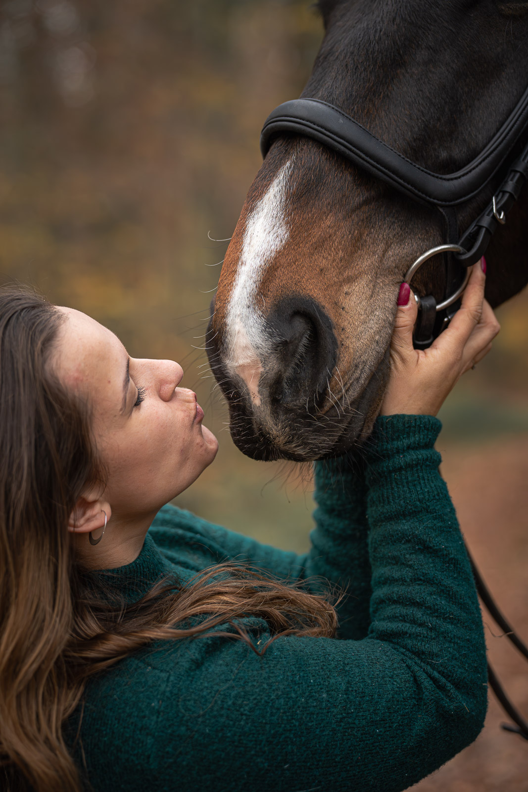 Nase an Nase mit einem Pferd
